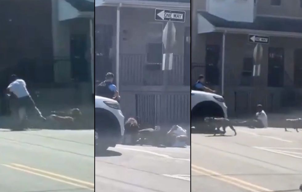Horrifying video shows pack of dogs mauling pedestrian before cop shoots at them in Philadelphia