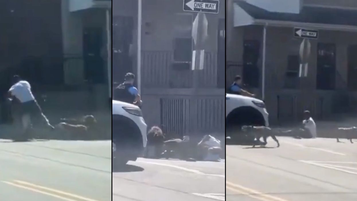 Horrifying video shows pack of dogs mauling pedestrian before cop shoots at them in Philadelphia