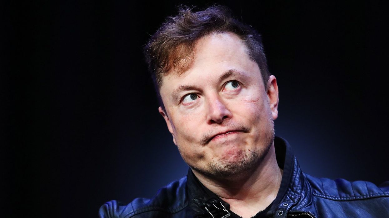 PLUMMETING birth rates keep Elon Musk up at night