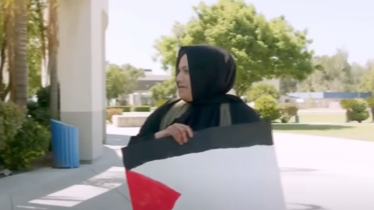 California college has only one pro-Palestinian protester because city is blue-collar and conservative, political science prof says