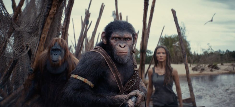'Kingdom' proves 'Planet of the Apes' franchise still rules