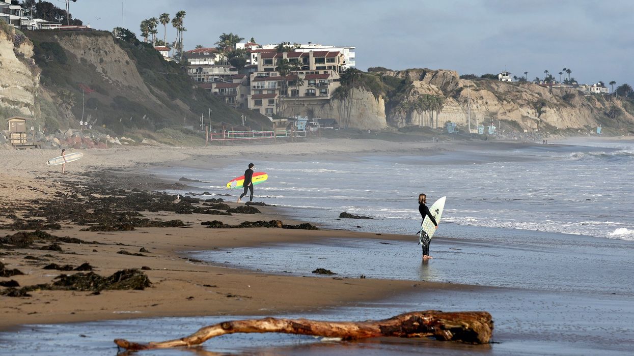 California officials shut down beach on Memorial Day after shark knocks surfer off his board and leaves foot-long bite mark