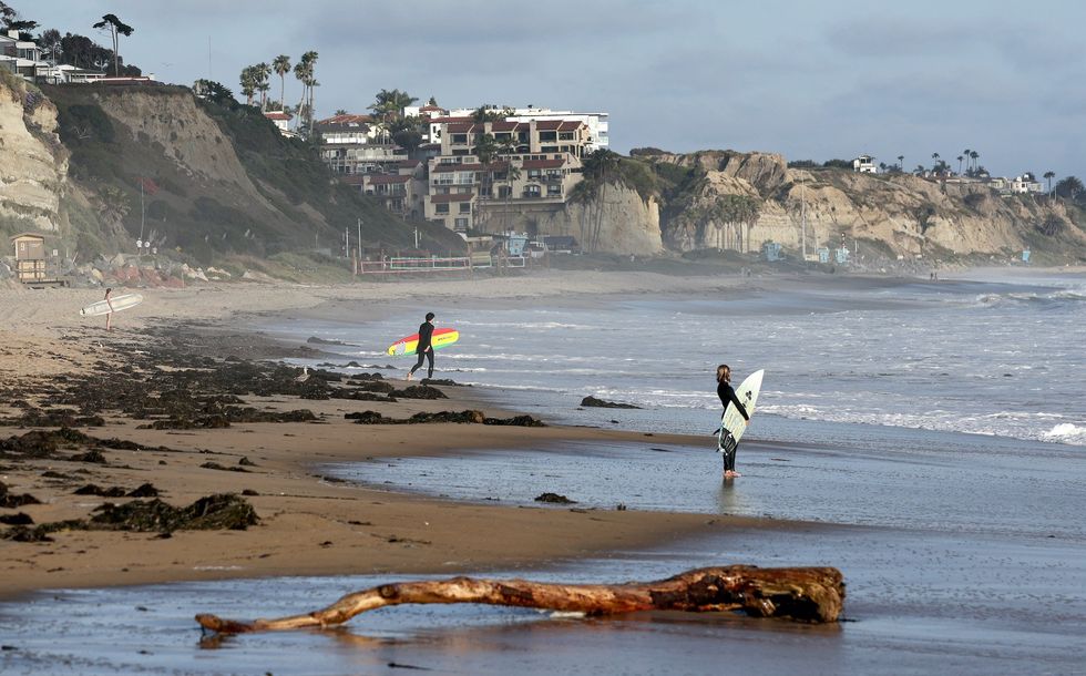 California officials shut down beach on Memorial Day after shark knocks surfer off his board and leaves foot-long bite mark