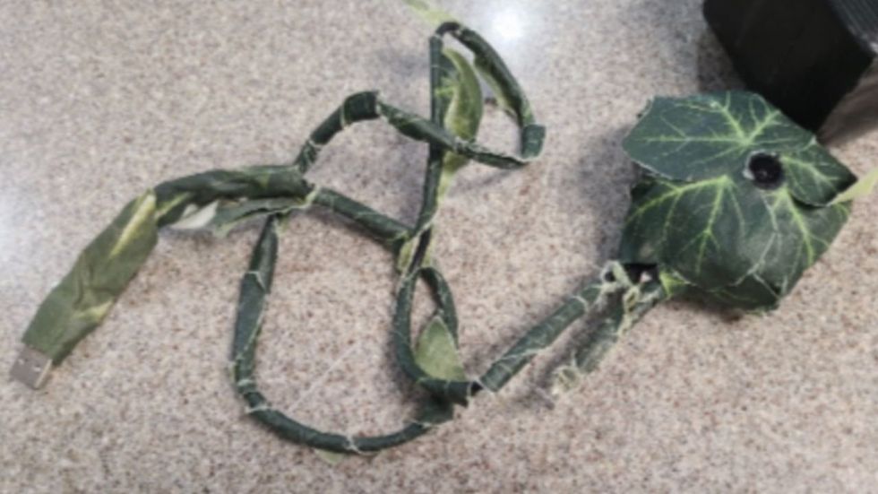 South American burglary rings in US plant hidden cameras in neighborhoods to spy on future victims