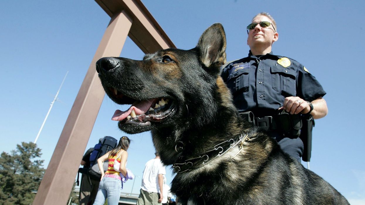 Former cop charged with misdemeanor animal cruelty for allegedly leaving K-9 police dog to die in his patrol car