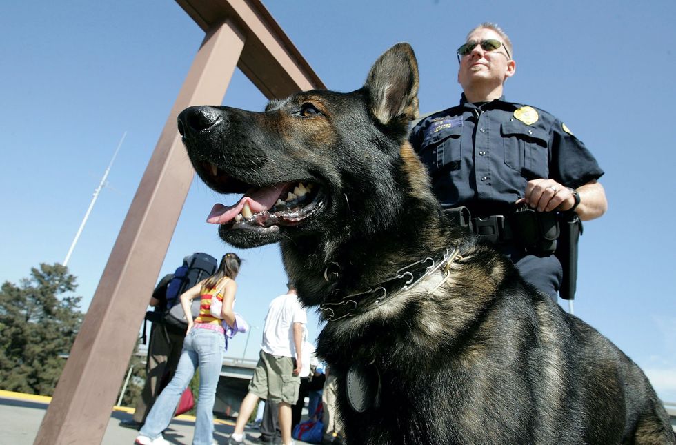 Former cop charged with misdemeanor animal cruelty for allegedly leaving K-9 police dog to die in his patrol car