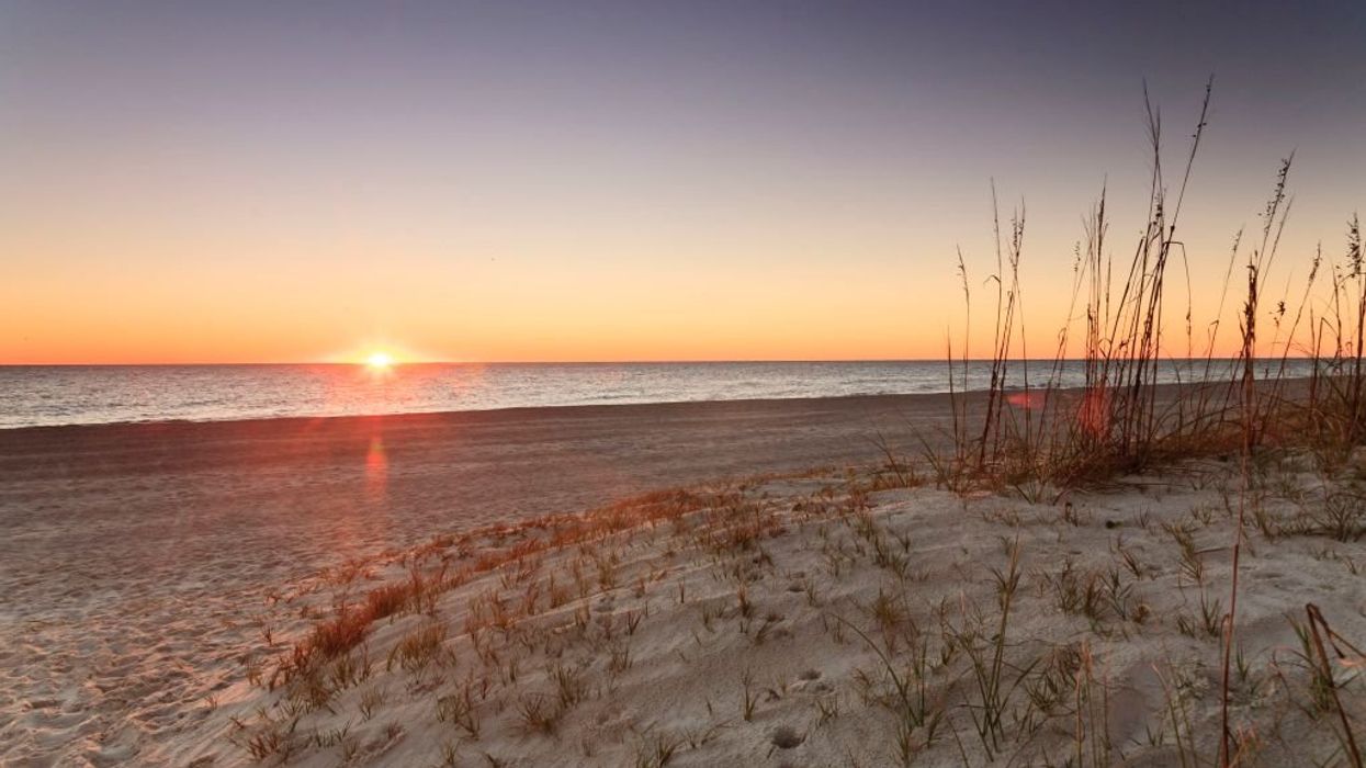 Florida man goes to beach searching for sea turtle nests, finds over $4.8 million in cocaine instead