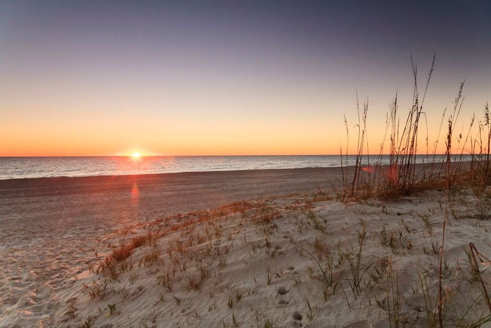 Florida man goes to beach searching for sea turtle nests, finds over $4.8 million in cocaine instead