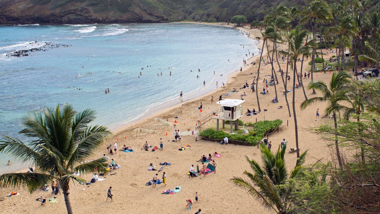 Professional lifeguard killed in Hawaiian shark attack: 'Loved by all'