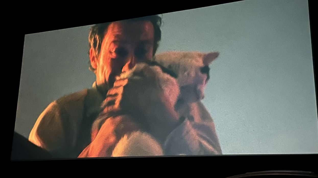 'A Quiet Place: Day One' saves the cat, spares the monsters