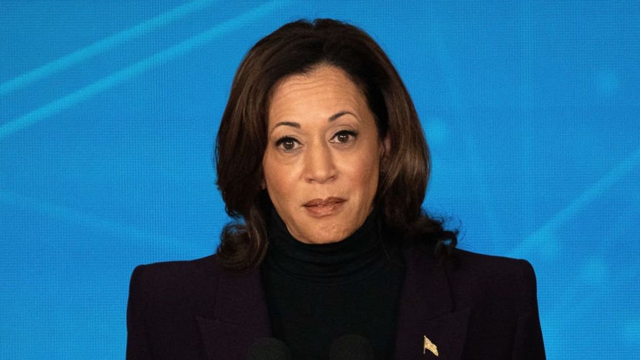 Biden mega donor sends Democrats prescient warning about running Kamala Harris: 'Be careful what you wish for'