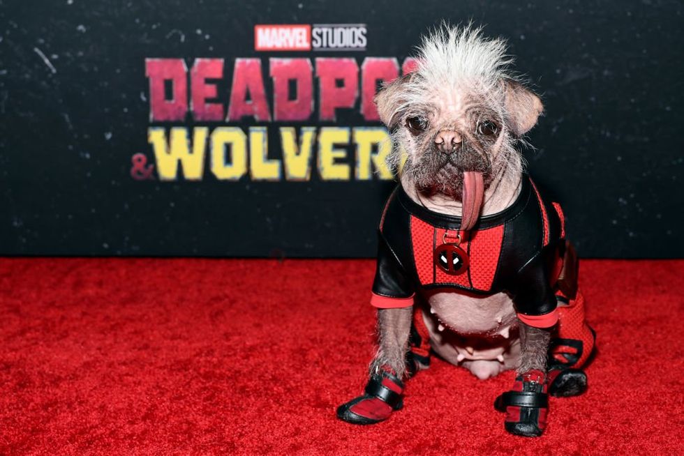 'Deadpool & Wolverine' makes the MCU fun again