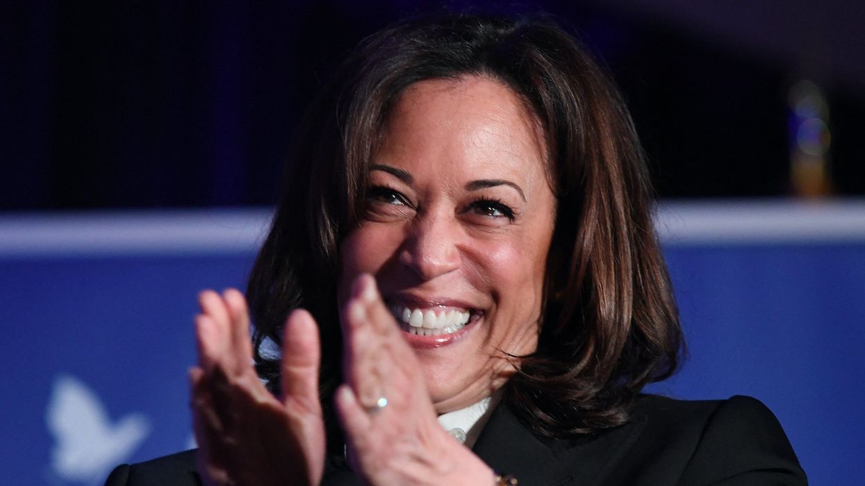 Democrat strategist says Kamala Harris can avoid questions because Dems trust media to 'explain' campaign message to voters