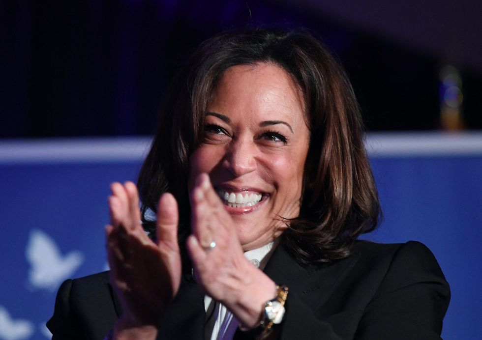 Democrat strategist says Kamala Harris can avoid questions because they trust media to 'explain' campaign message to voters