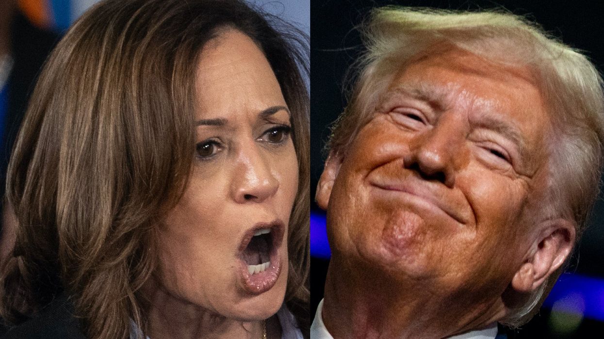 Kamala Harris' chances to win just got even worse, according to updated model from Nate Silver