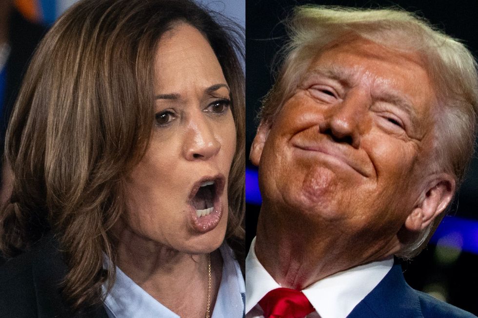 Kamala Harris' chances to win just got even worse, according to updated model from Nate Silver