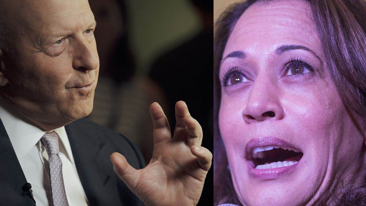 Goldman Sachs CEO corrects Kamala Harris on exaggerated claim about her economic plan