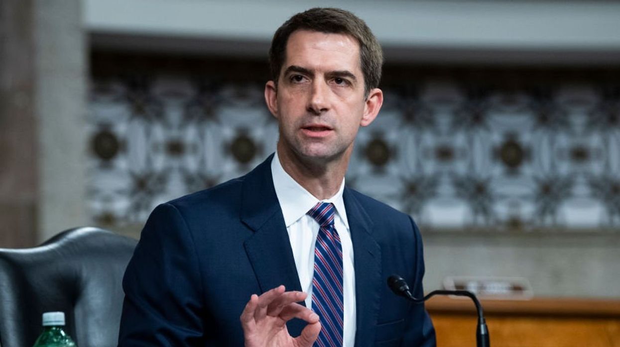 CNN anchor tries to stop Tom Cotton from telling the truth about IVF bill — but she fails: 'You're not going to stop me'