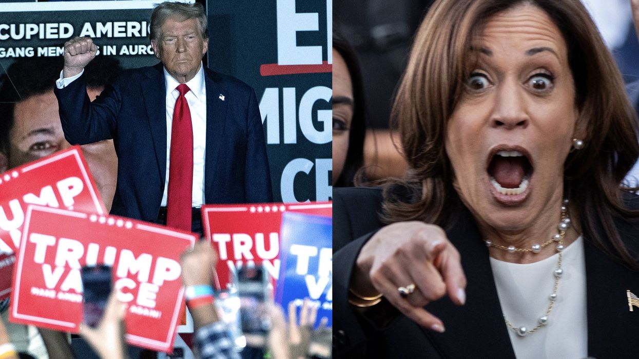 CNN pollster explains why Democrats are 'bed-wetting' over newest election numbers