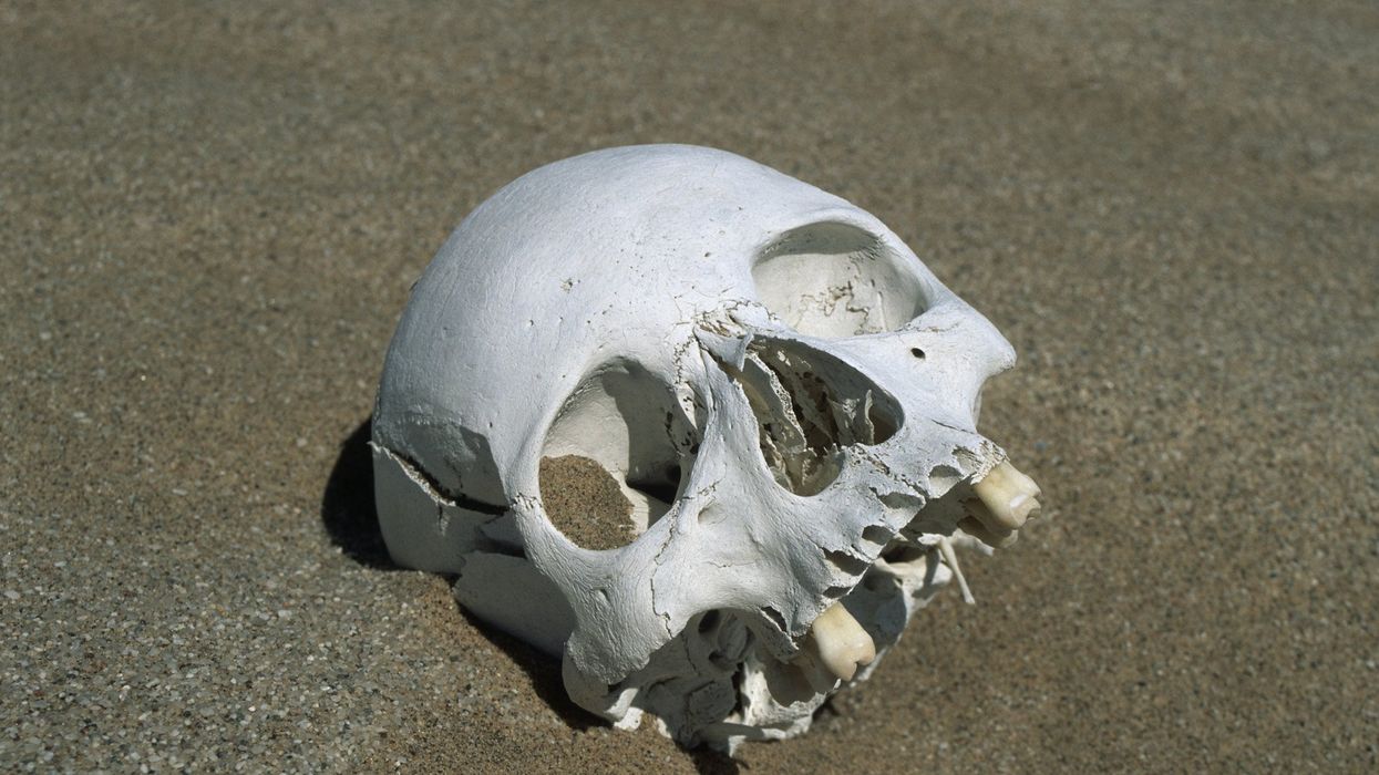 Skull found inside wall of Illinois home belonged to teenager who died in 1866, police say