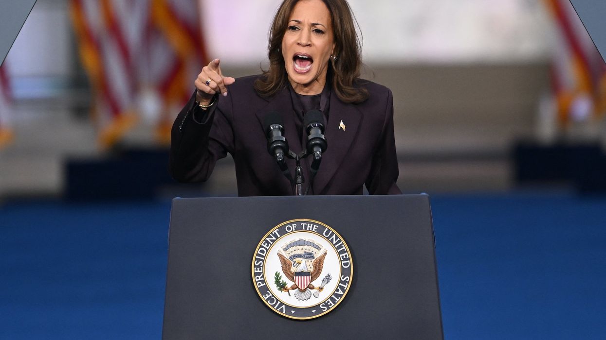 Kamala Harris finally concedes election in speech after devastating election loss: 'Do not despair'