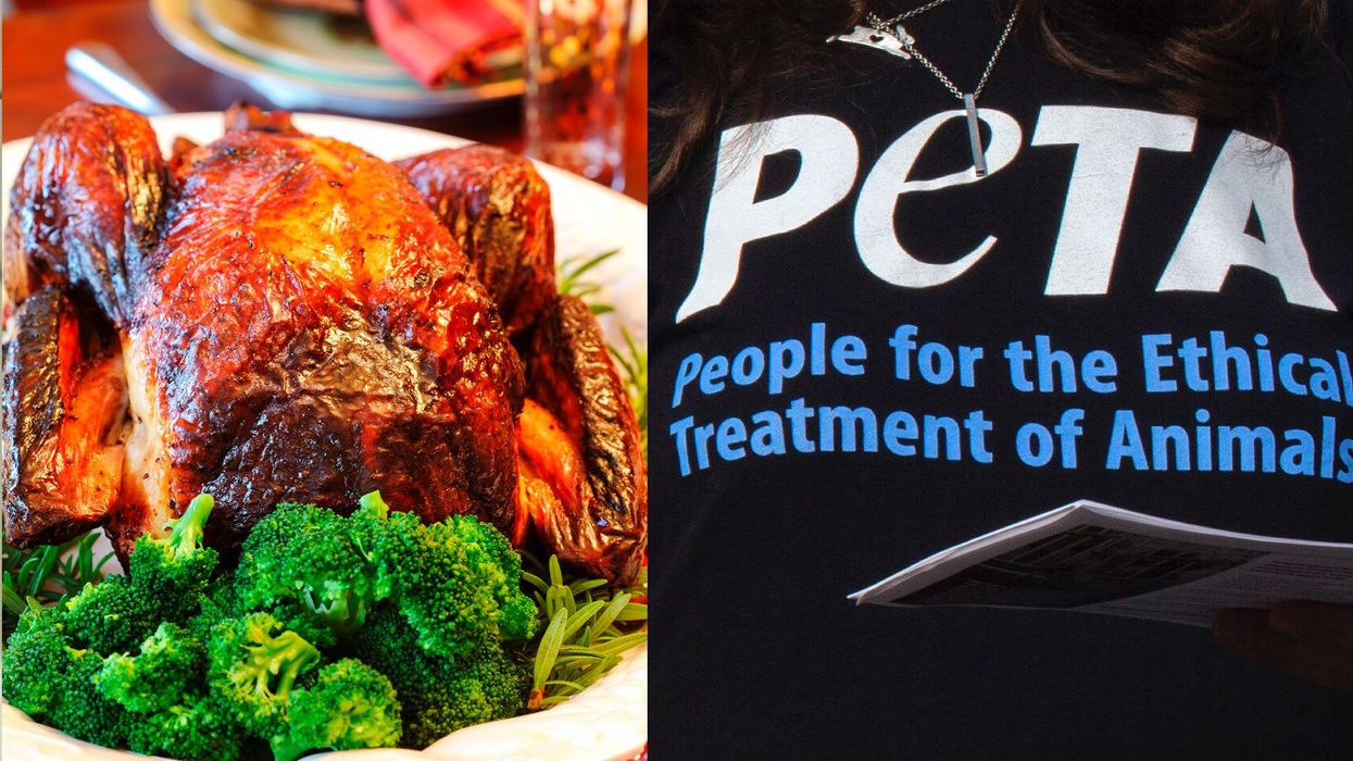 PETA is brutalized online for comparing Thanksgiving dinner to sexual assault