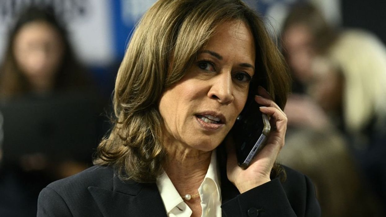Democratic strategist begs Kamala Harris not to run again