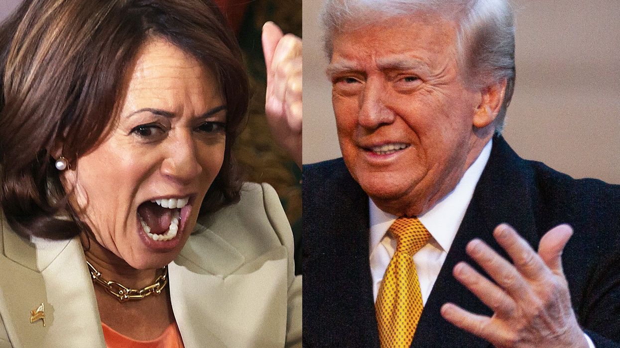 Electoral College voters officially confirm Donald Trump's victory