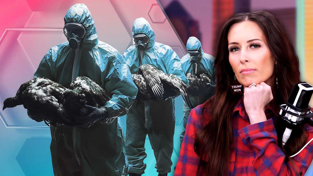 The next COVID? Newsom DECLARES state of emergency for bird flu