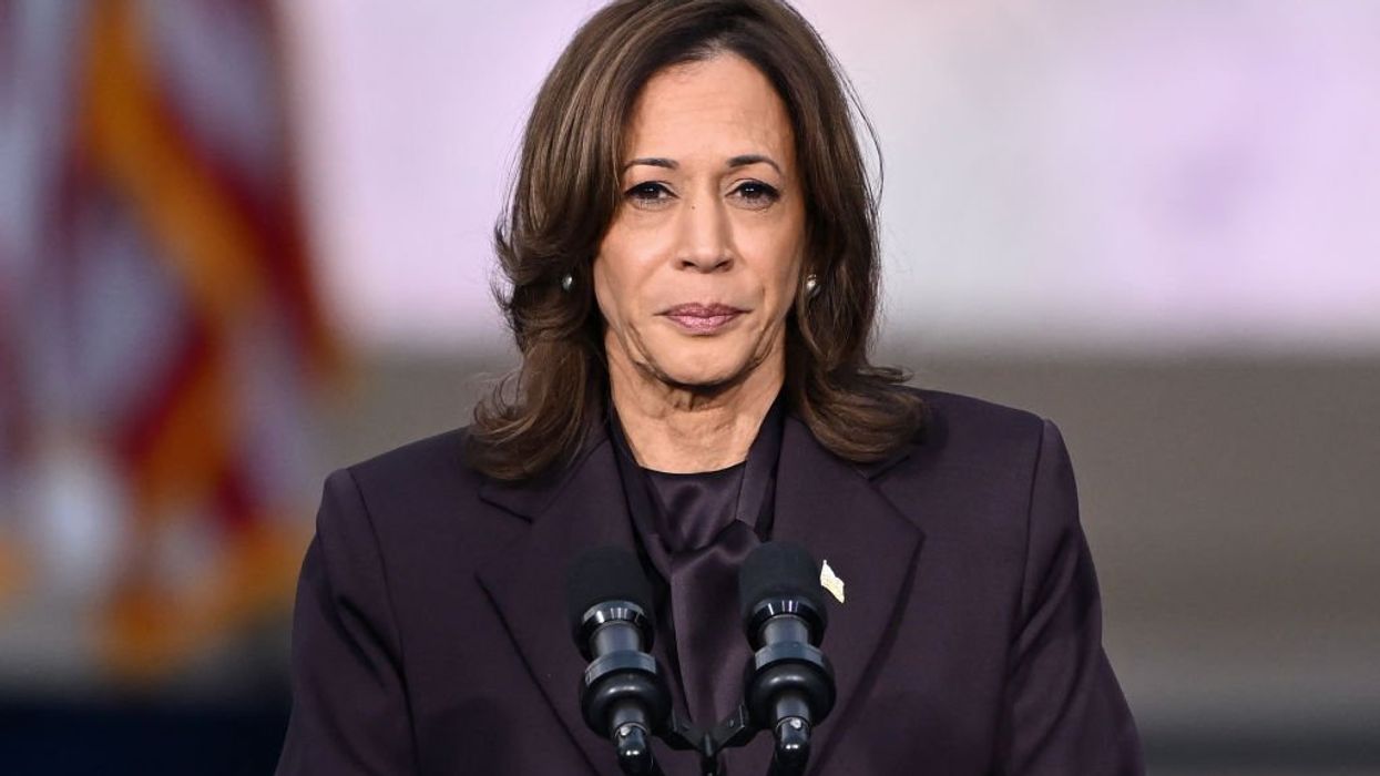Obama ally pushes Raskin plan for Congress to nullify election, install Harris: 'Insurrectiony'