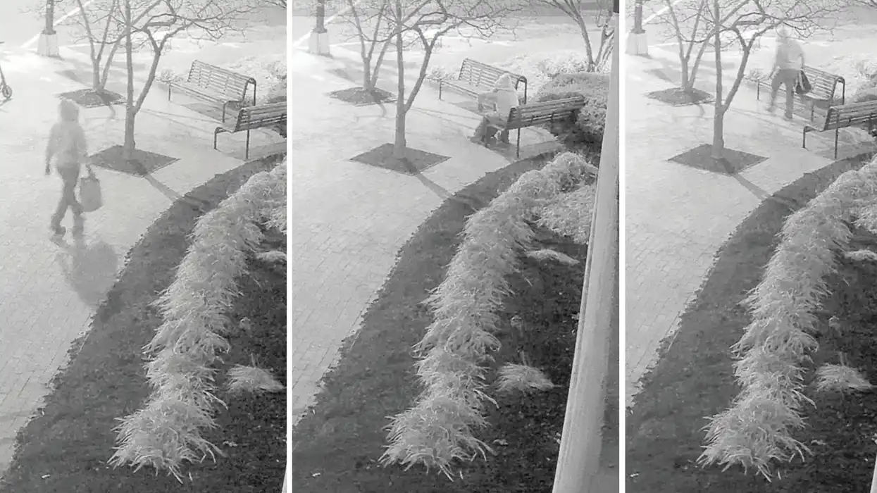 UPDATE: Former Capitol Police officer a forensic match for Jan. 6 pipe bomber, sources say