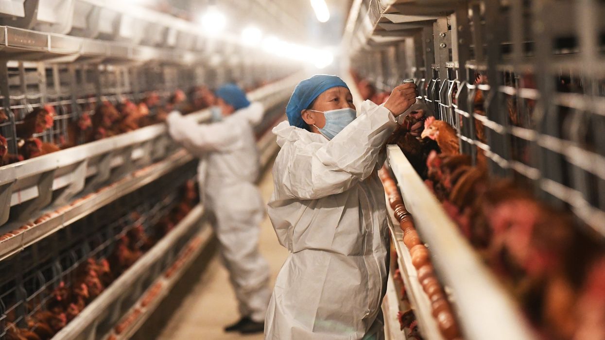 First bird flu death reported in Louisiana of person exposed to wild birds, officials say