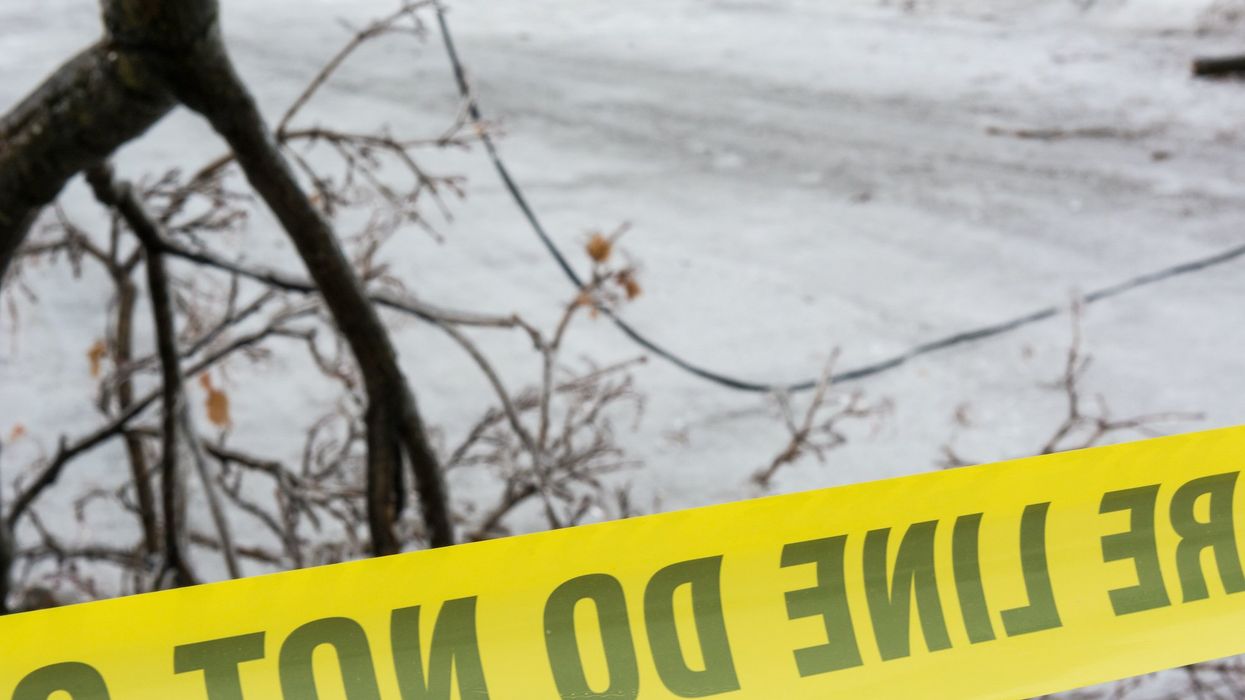 Elderly woman mauled and partially eaten by pigs on Christmas day, police say