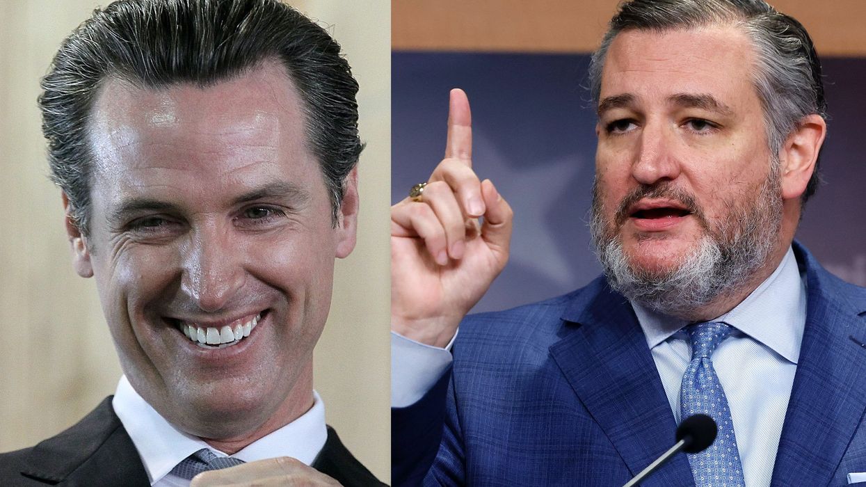 Gavin Newsom feuds with Ted Cruz over executive order meant to ban 'unsolicited' offers to purchase wildfire land