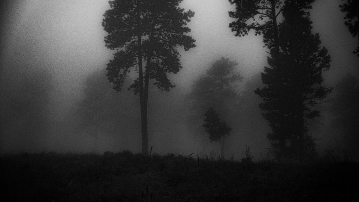 Chasing Sasquatch