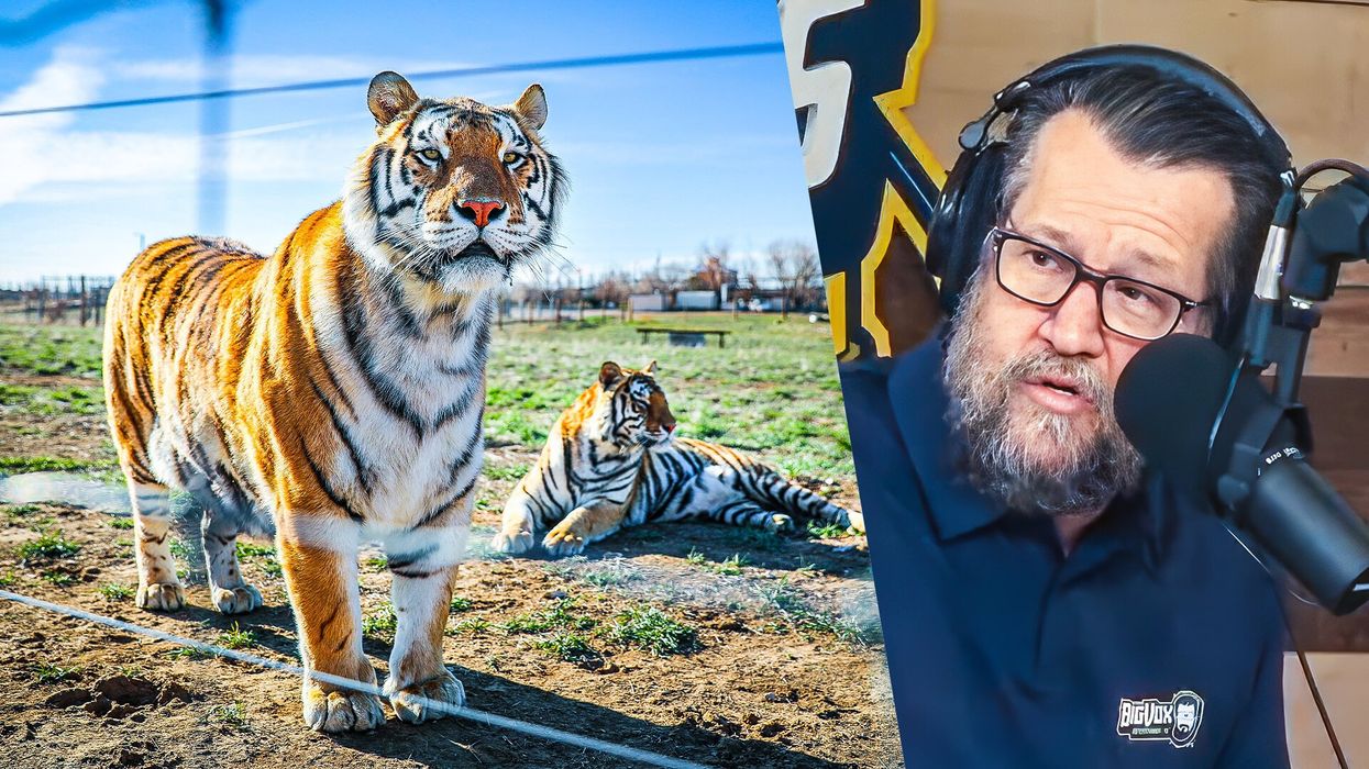 You won’t believe what happened to Joe Exotic’s tigers ...