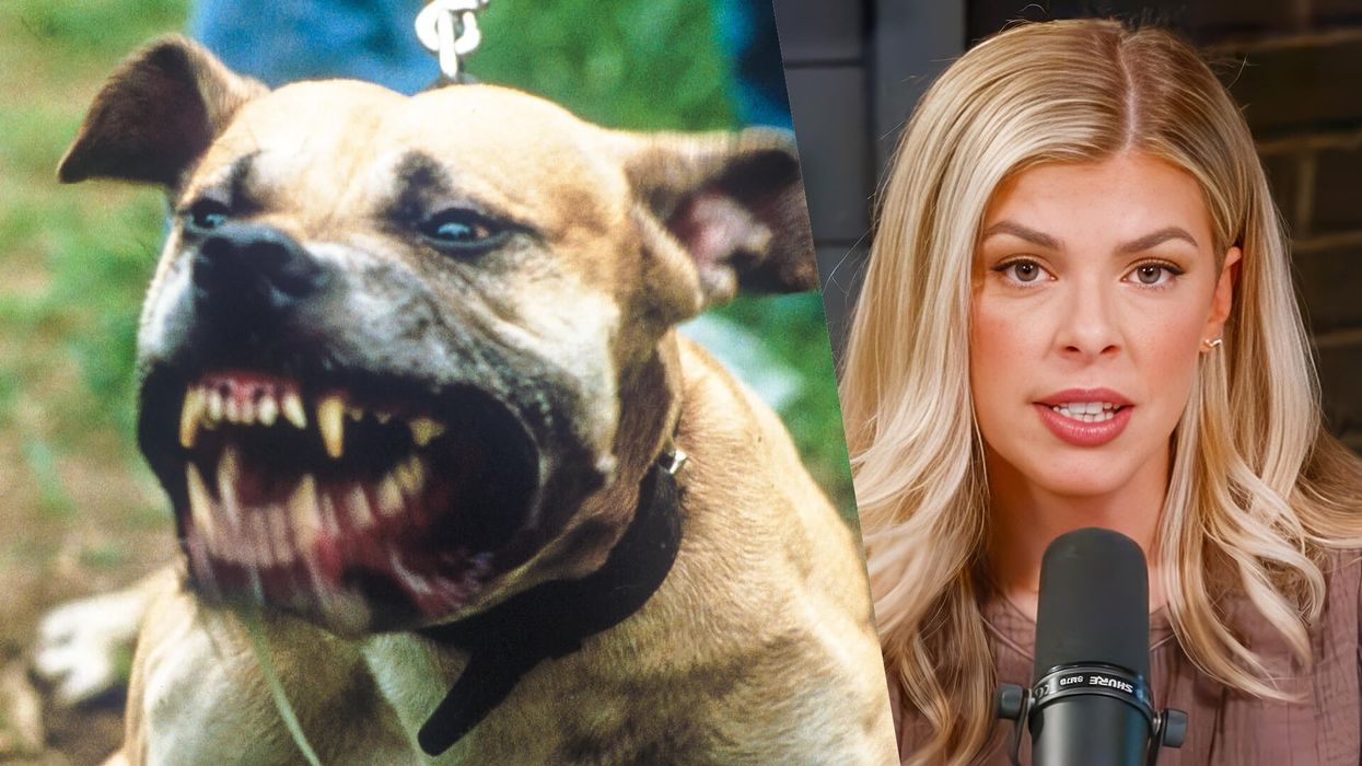 Rabid defenders of pit bulls are spiritually blind — and ignoring the tragic stats