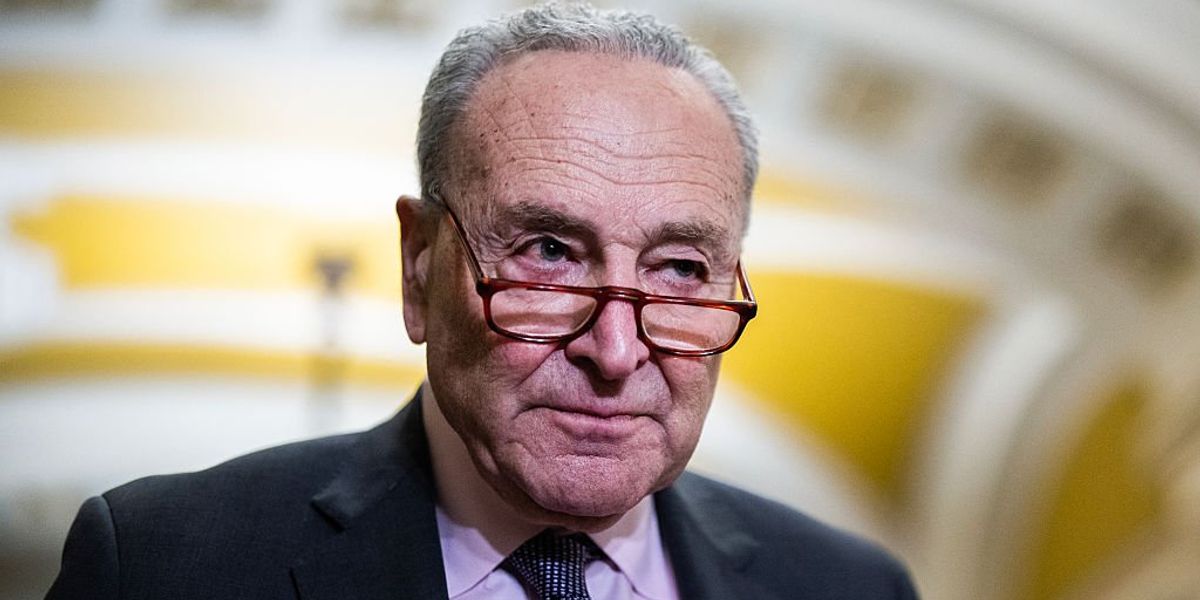 Chuck Schumer takes a shot at Trump’s approval ratings then scores on his own net Chuck Schumer takes a shot at Trump’s approval ratings then scores on his own net