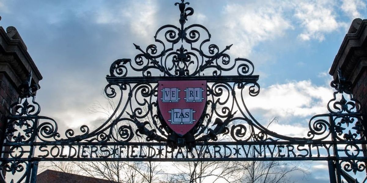 Harvard dishonesty expert stripped of tenure and fired over alleged data falsification, rampant plagiarism Harvard dishonesty expert stripped of tenure and fired over alleged data falsification, rampant plagiarism