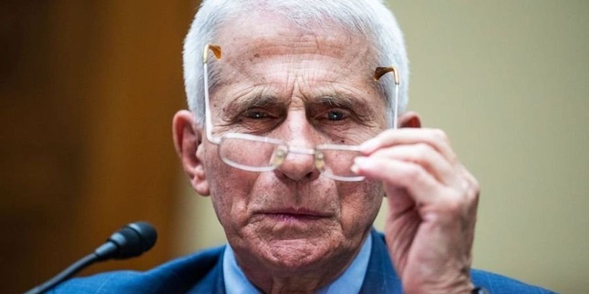 Rand Paul to refile criminal referral of Fauci to DOJ after Biden autopen revelations Rand Paul to refile criminal referral of Fauci to DOJ after Biden autopen revelations