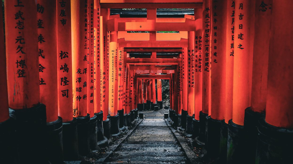 The Land of the Gods