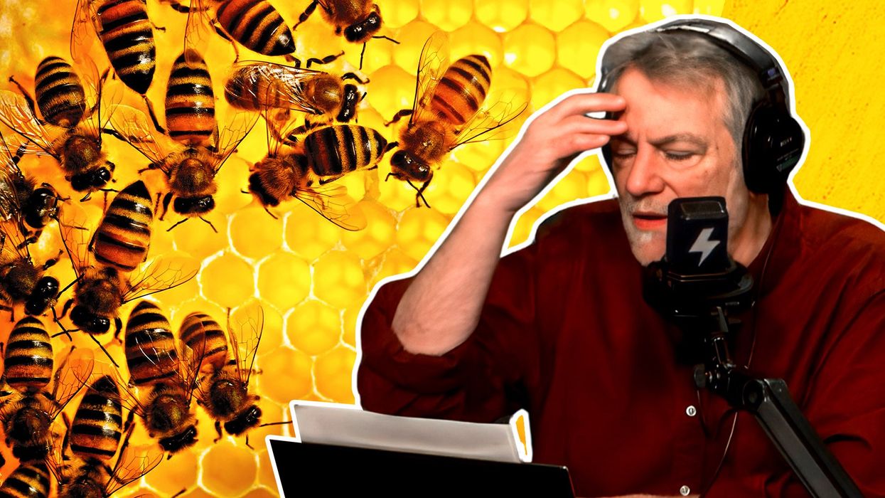 Geoengineering is poisoning the bees — and humans too