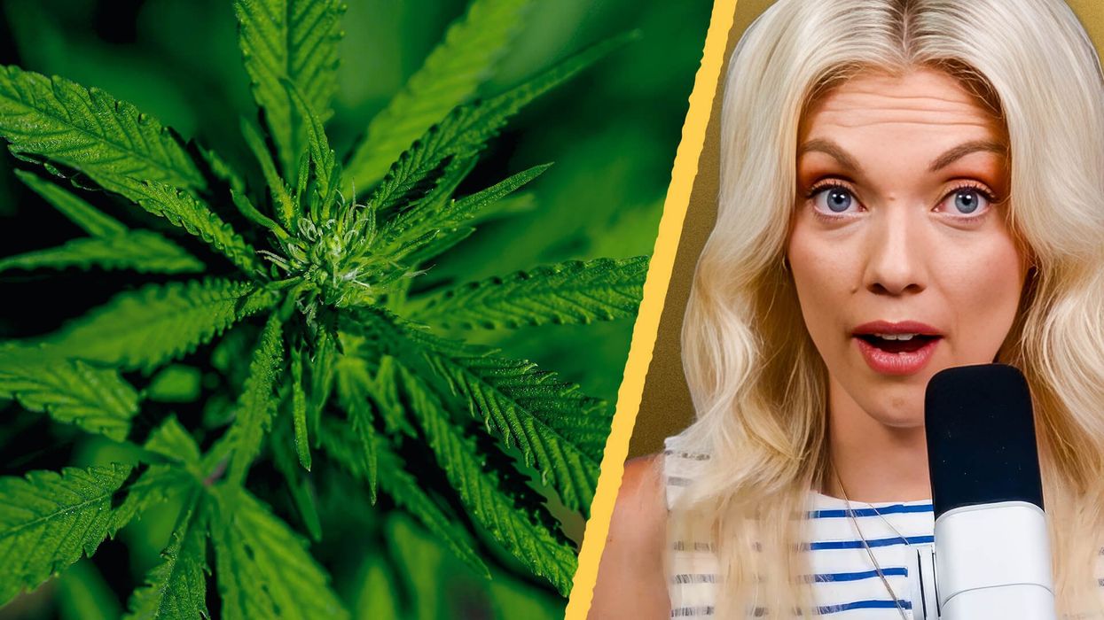 From schizophrenia to skyrocketing crime: The dark side of weed