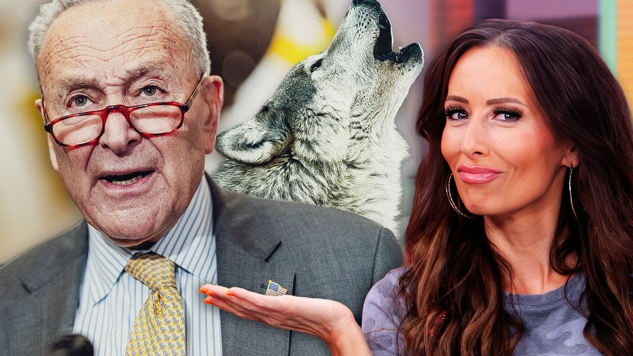 Democrats crying wolf about a ‘threat to democracy’ backfires