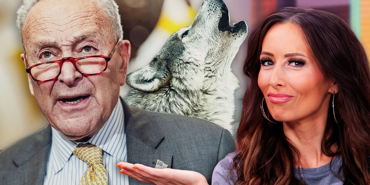 Democrats crying wolf about a ‘threat to democracy’ backfires Democrats crying wolf about a ‘threat to democracy’ backfires