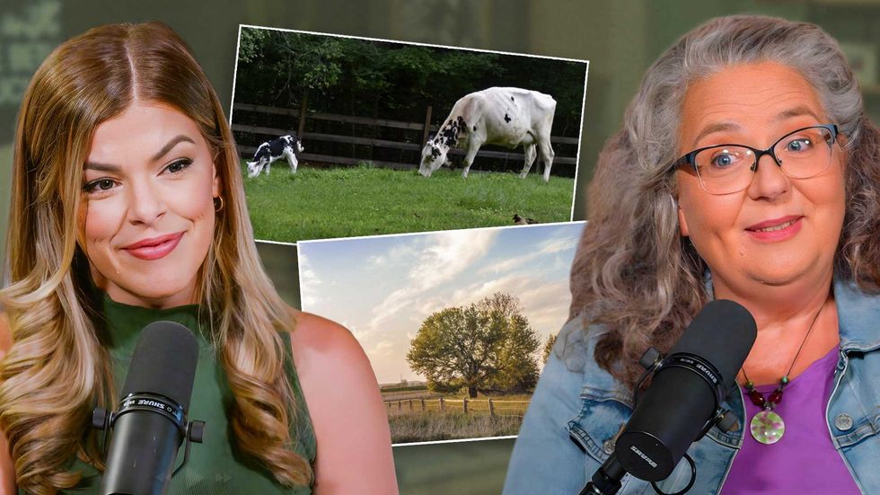 ‘Franken-wheat’: The real reason Americans can’t eat bread anymore