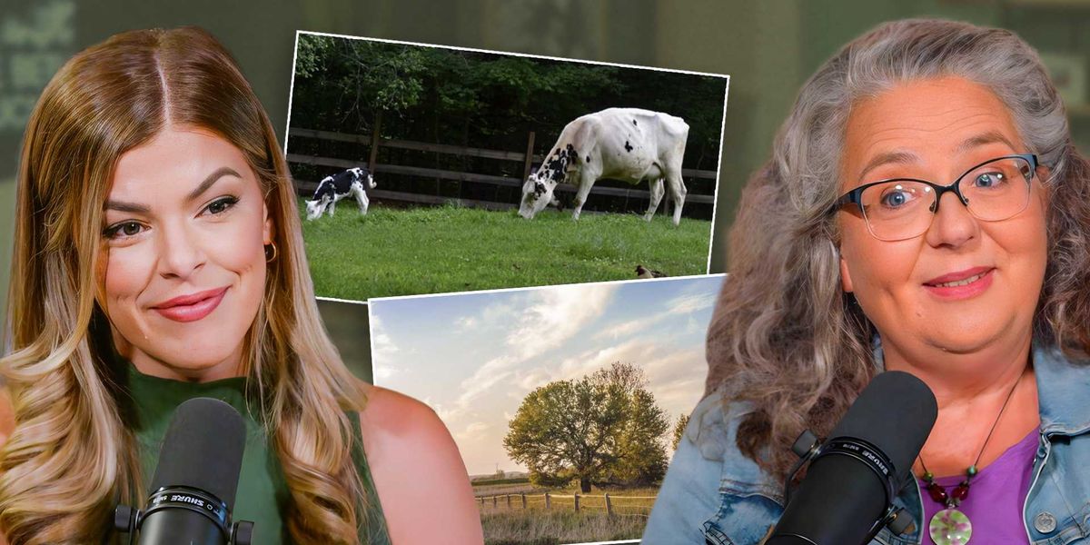 ‘Franken-wheat’: The real reason Americans can’t eat bread anymore ‘Franken-wheat’: The real reason Americans can’t eat bread anymore