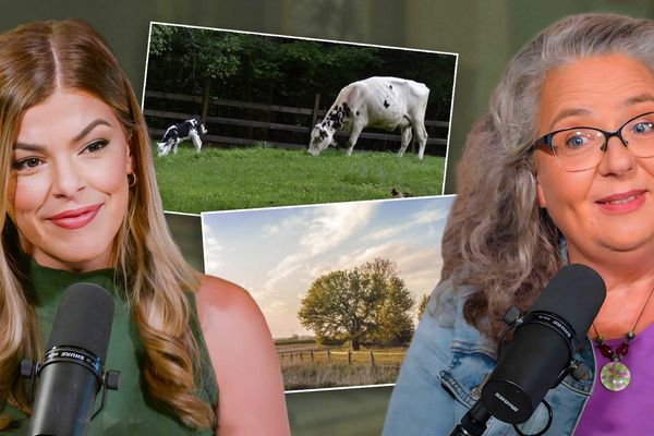 ‘Franken-wheat’: The real reason Americans can’t eat bread anymore