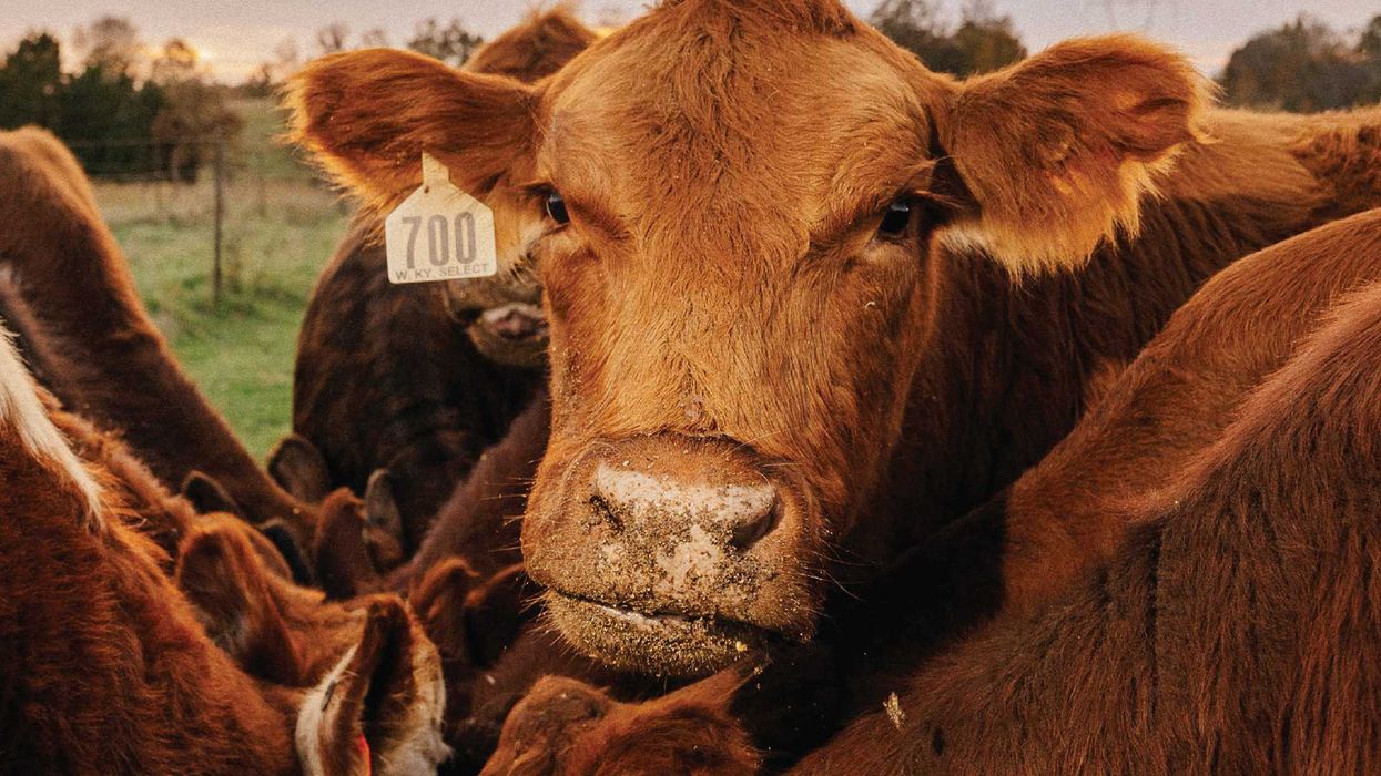 Something Left to Lose