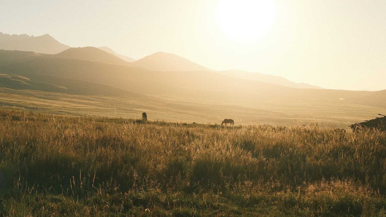 Where the Steppe Meets the Sky